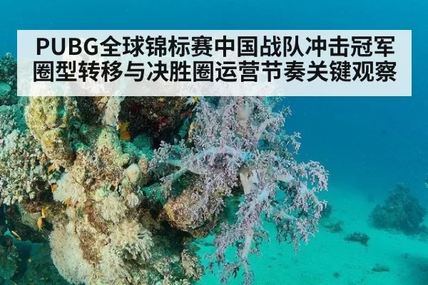 PUBG全球锦标赛中国战队冲击冠军圈型转移与决胜圈运营节奏关键观察